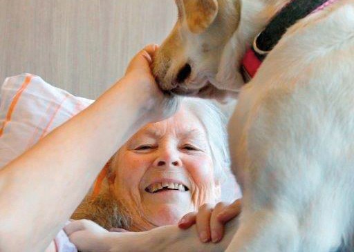 Tiergestützte Therapie: Eine Patientin freut sich über den Besuch eines Therapiehundes